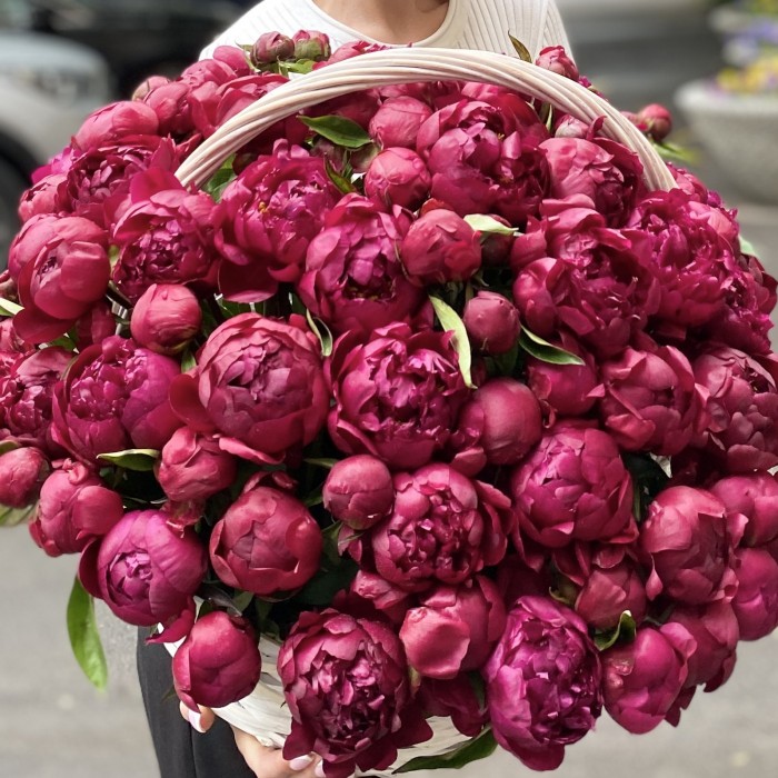 101 пион Канзас в корзине