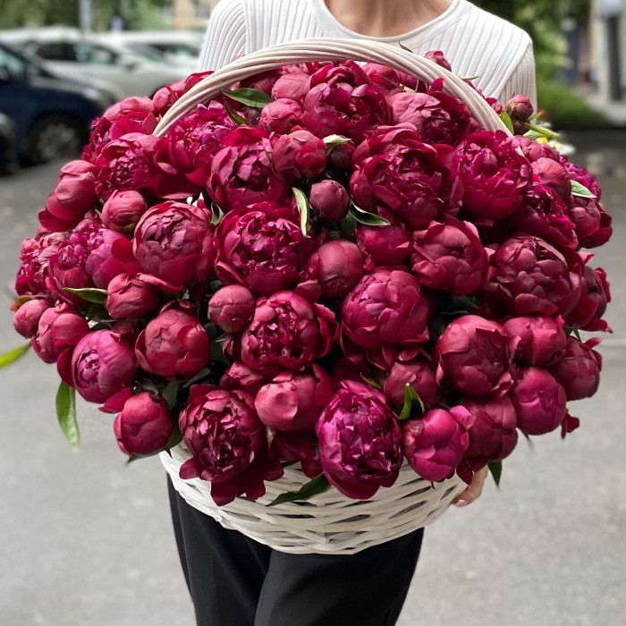 101 пион Канзас в корзине