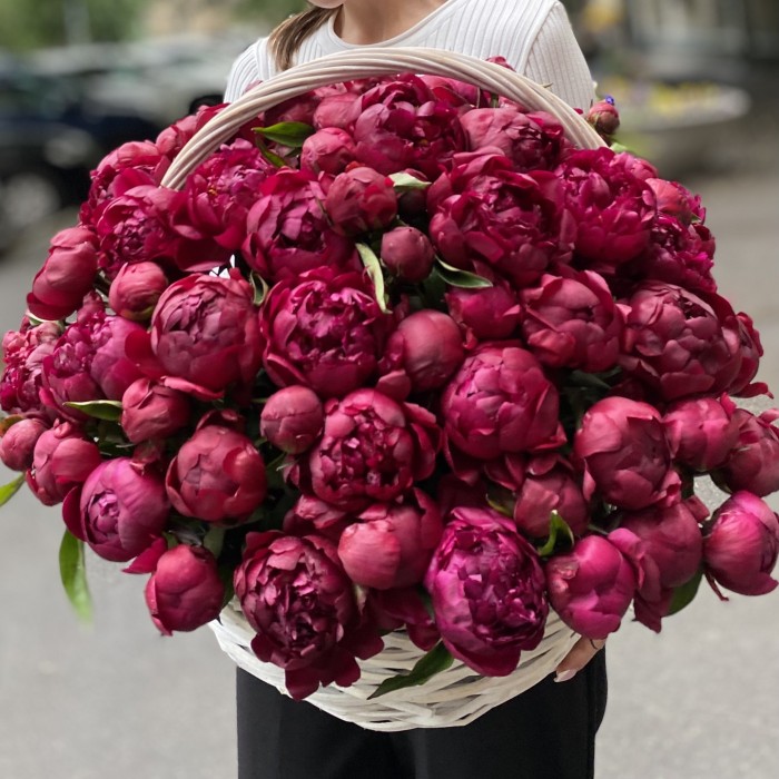 101 пион Канзас в корзине