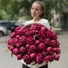 101 пион Канзас в корзине