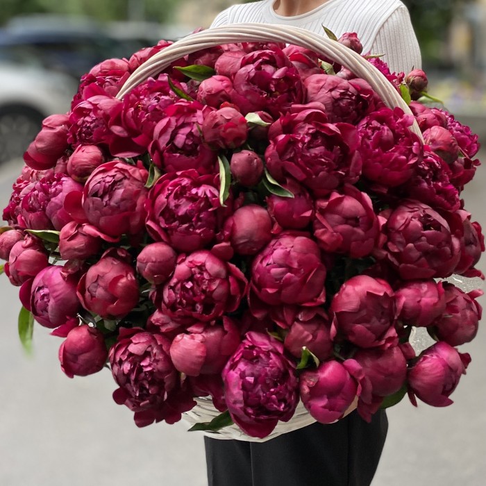 101 пион Канзас в корзине