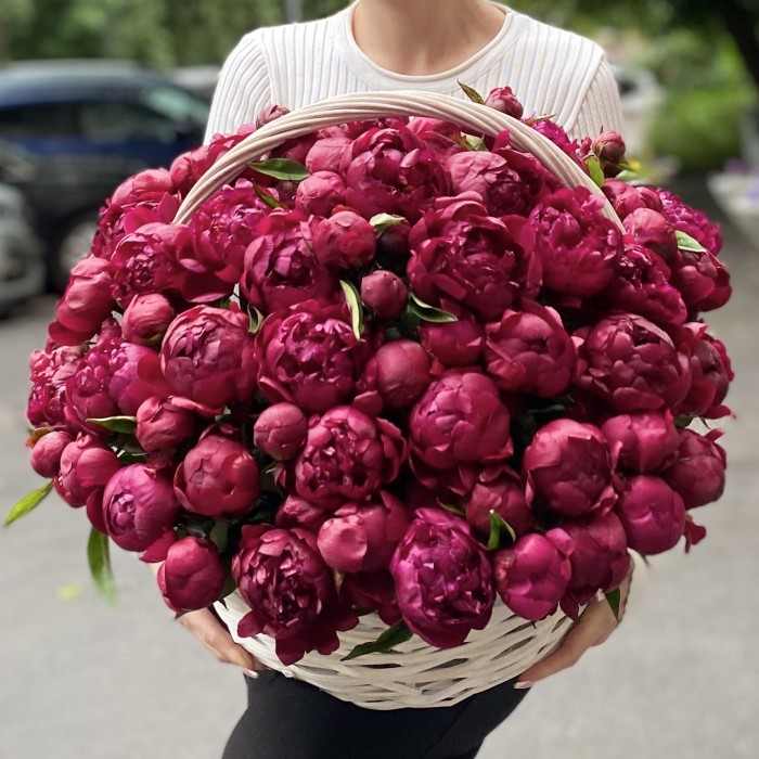 101 пион Канзас в корзине