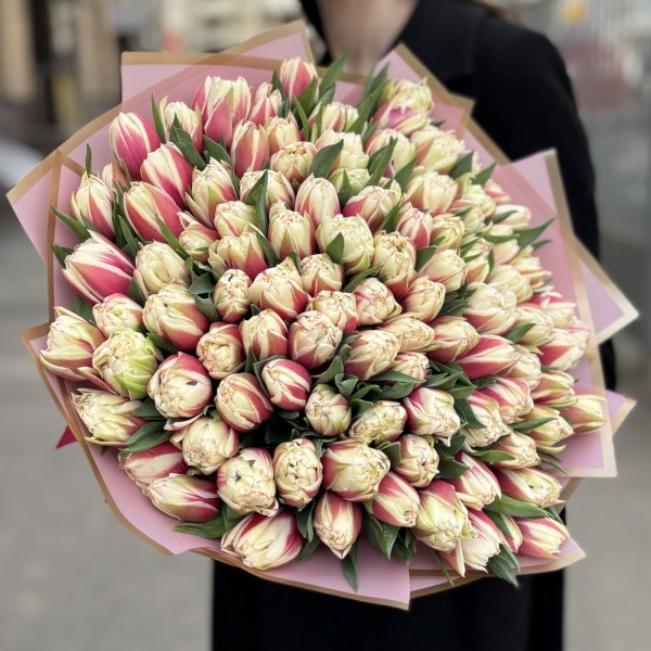 101 пионовидный красно-белый тюльпан Вермонт