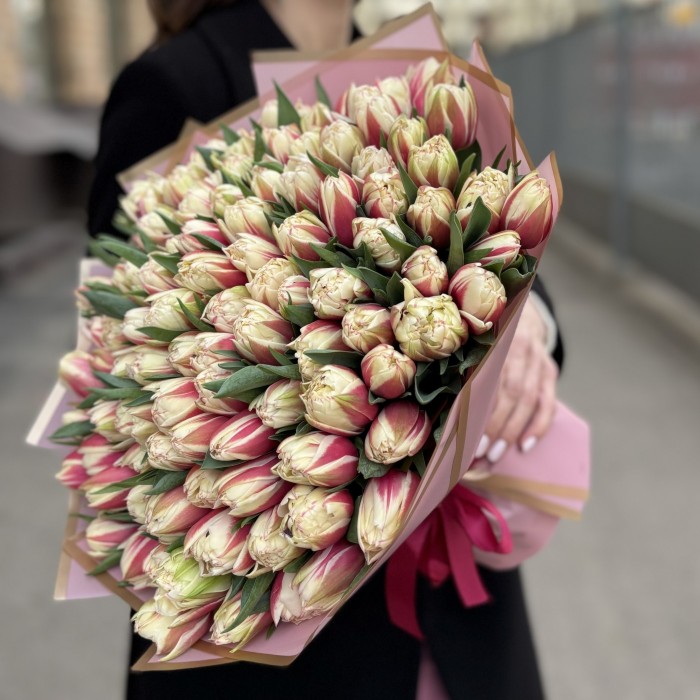 101 пионовидный красно-белый тюльпан Вермонт