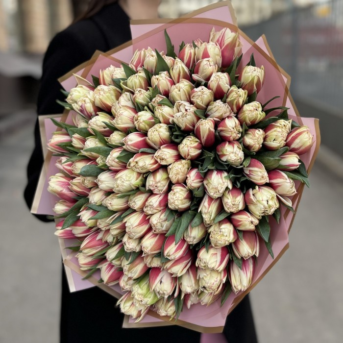 101 пионовидный красно-белый тюльпан Вермонт