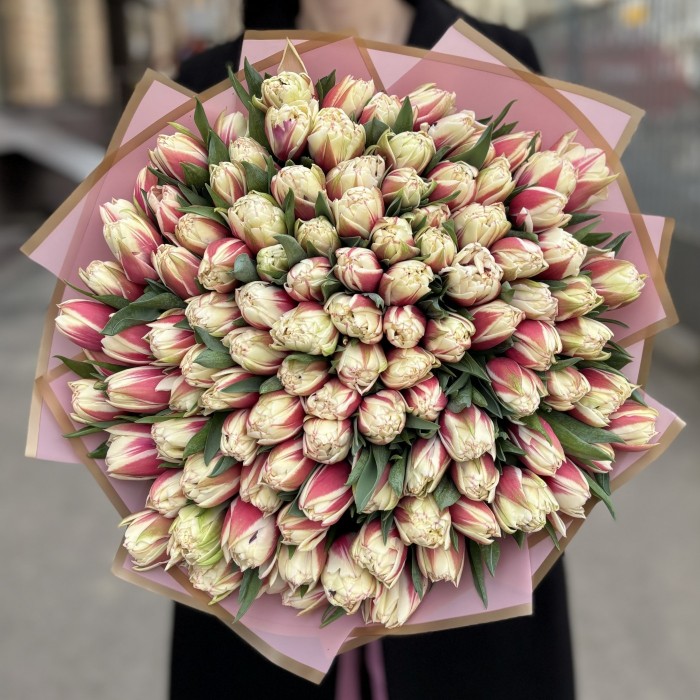 101 пионовидный красно-белый тюльпан Вермонт