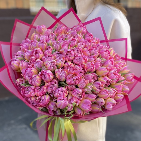 101 розовый пионовидный тюльпан Флеш поинт
