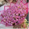 101 розовый пионовидный тюльпан Флеш поинт