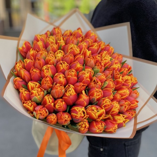 101 пионовидный тюльпан Мира