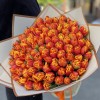 101 пионовидный тюльпан Мира