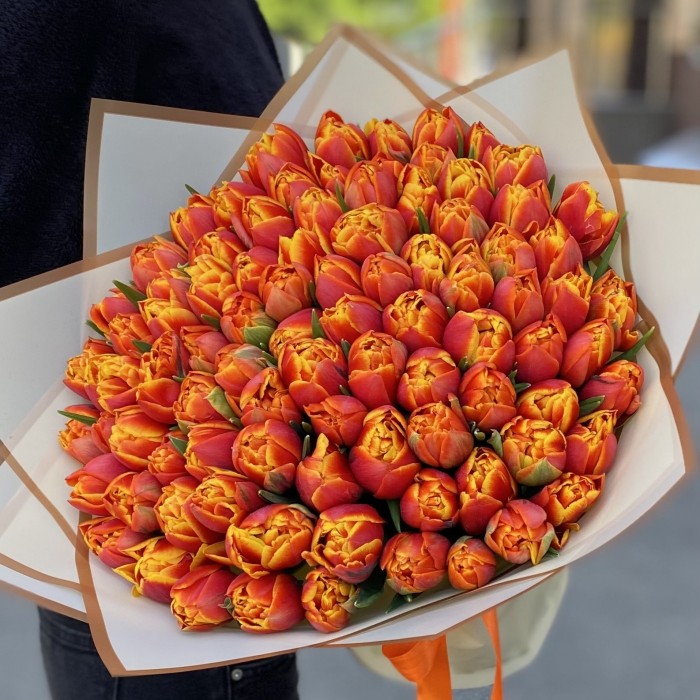 101 пионовидный тюльпан Мира