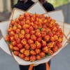 101 пионовидный тюльпан Мира