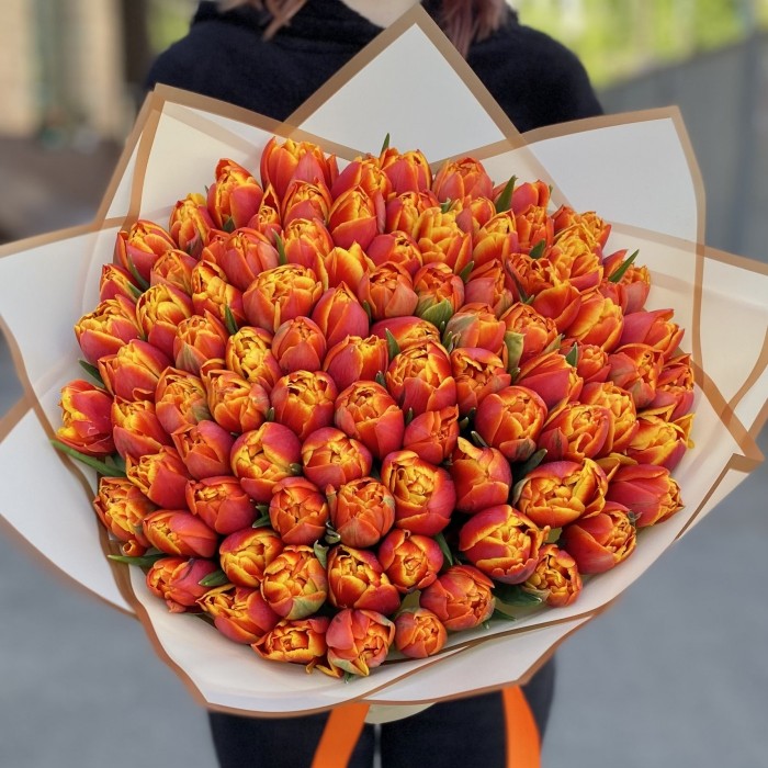 101 пионовидный тюльпан Мира