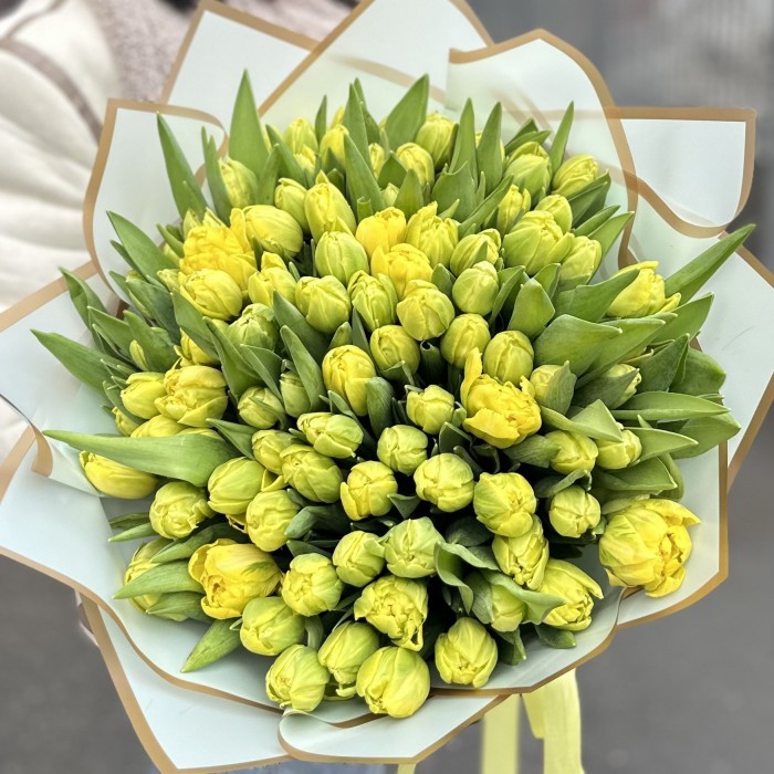 101 пионовидный желтый тюльпан в упаковке