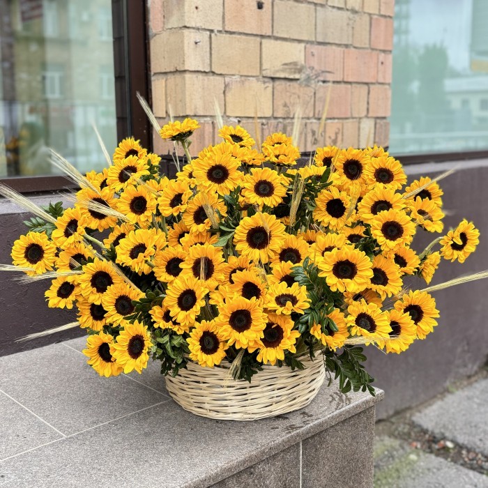 101 подсолнух с гринбеллом в корзине
