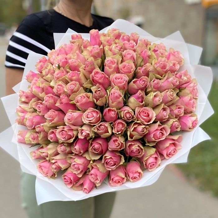 101 розово-зеленая роза Бел-роз