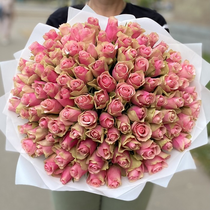 101 розово-зеленая роза Бел-роз