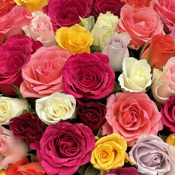 101 роза в корзине MIX