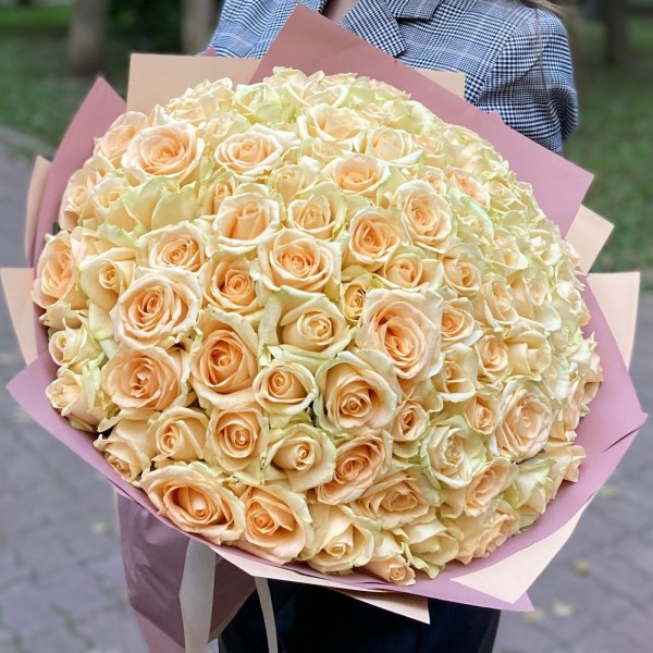 101 роза Пич аваланш 40 см