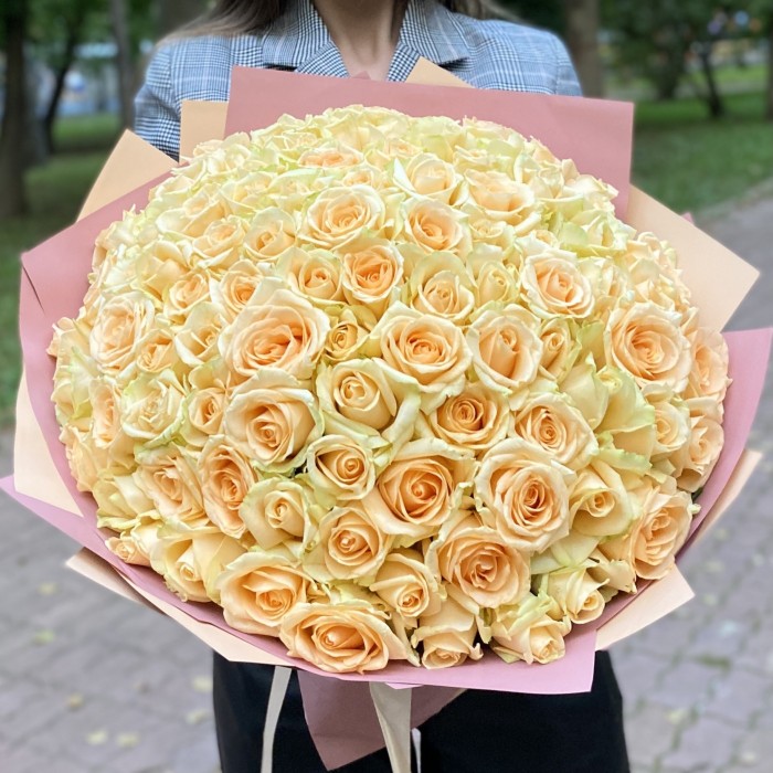 101 роза Пич аваланш 40 см