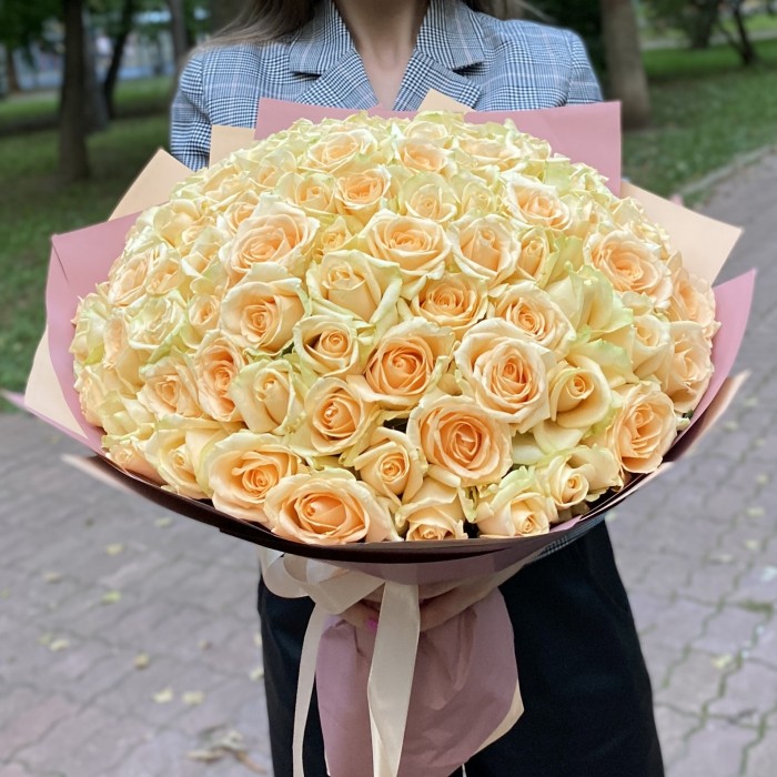 101 роза Пич аваланш 40 см