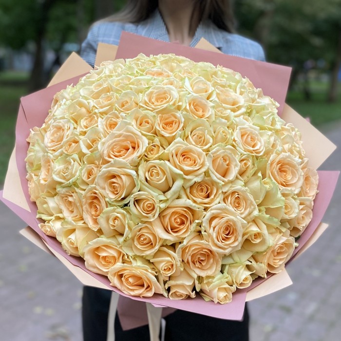 101 роза Пич аваланш 40 см