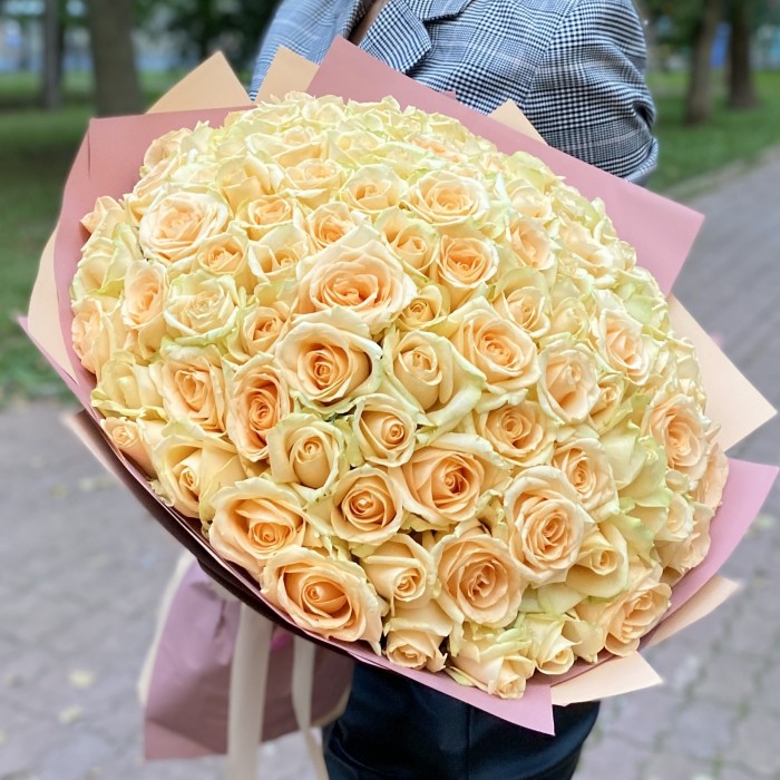 101 роза Пич аваланш 40 см