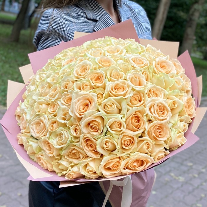 101 роза Пич аваланш 40 см