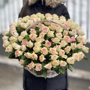 101 бело-розовая роза Топ-гир в корзине