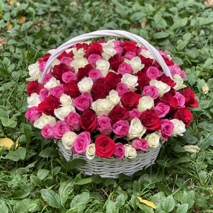 101 роза яркий микс в корзине