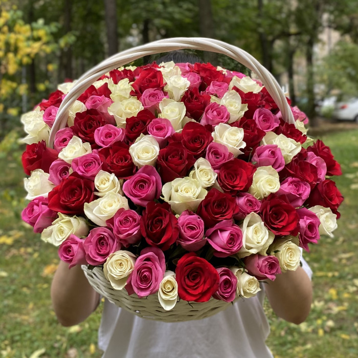 101 роза яркий микс в корзине
