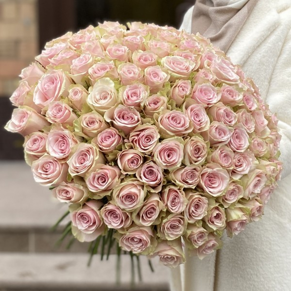 101 розовая роза Пинк Атена 50 см