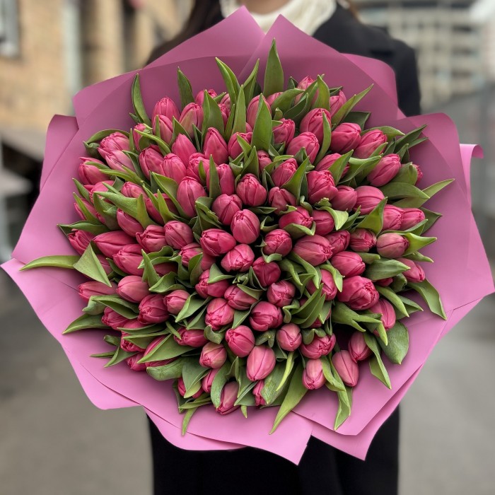 101 розовый тюльпан Квин оф Марвел в упаковке