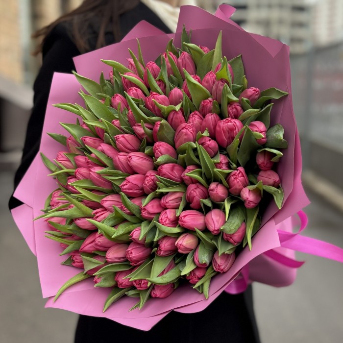 101 розовый тюльпан Квин оф Марвел в упаковке