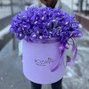 101 синий ирис в коробке