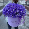 101 синий ирис в коробке