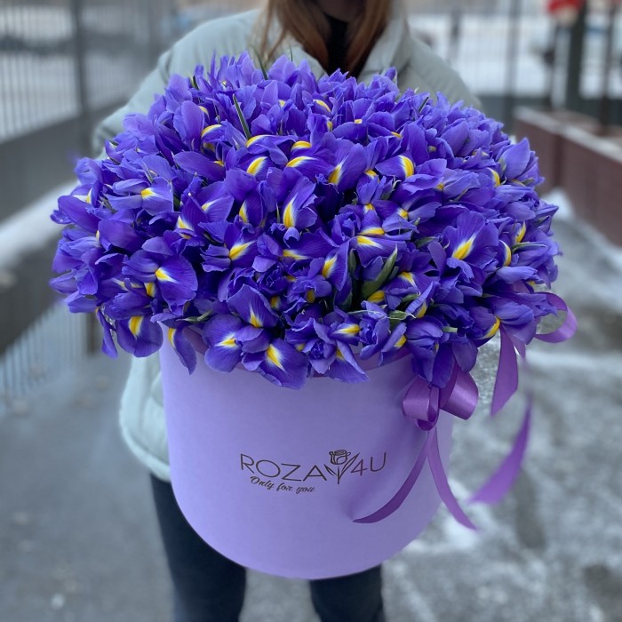 101 синий ирис в коробке