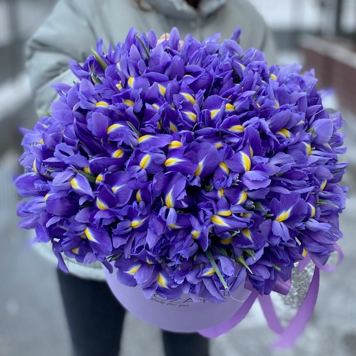 101 синий ирис в коробке