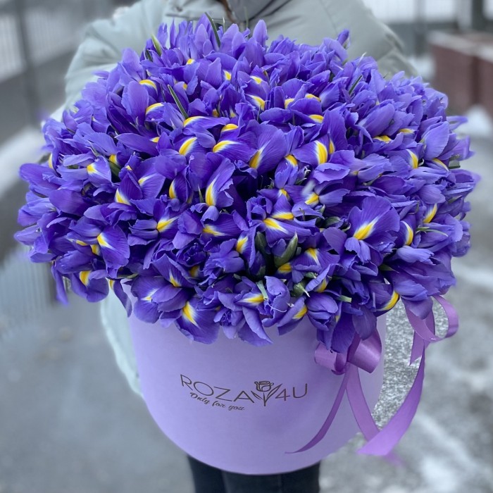 101 синий ирис в коробке