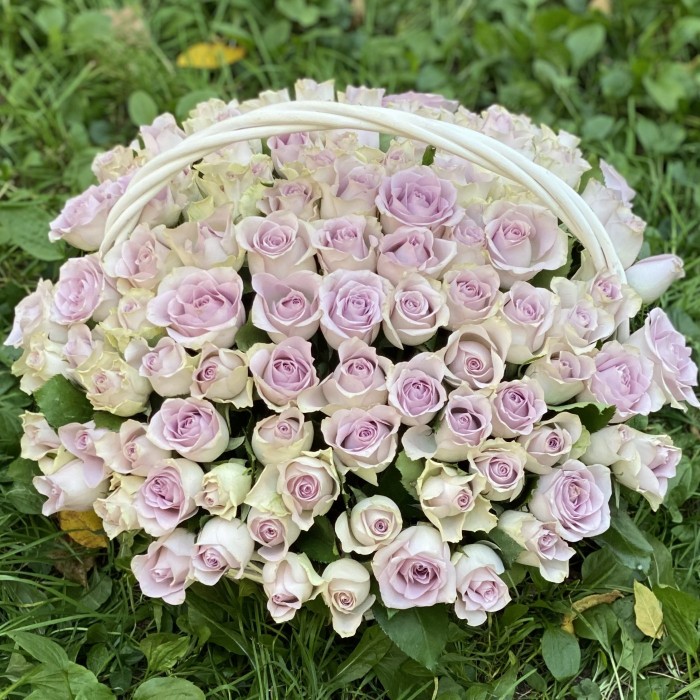 101 Морнинг дью в корзине