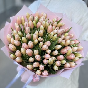 101 тюльпан Марк Дизайн