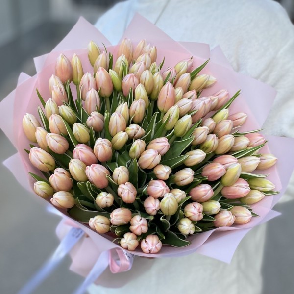 101 тюльпан Марк Дизайн