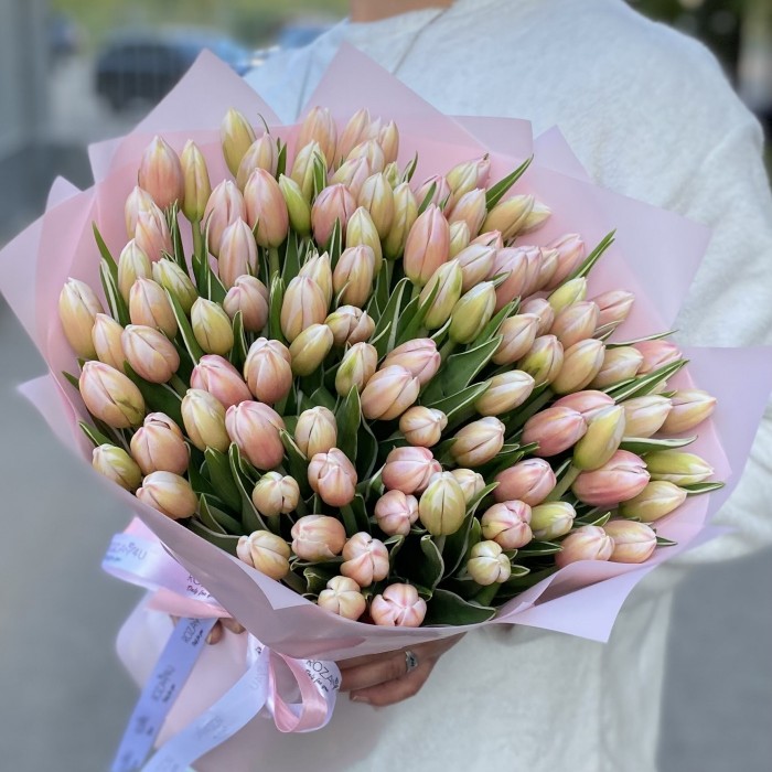 101 тюльпан Марк Дизайн