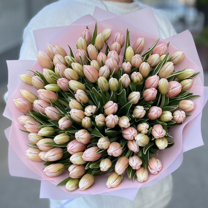 101 тюльпан Марк Дизайн