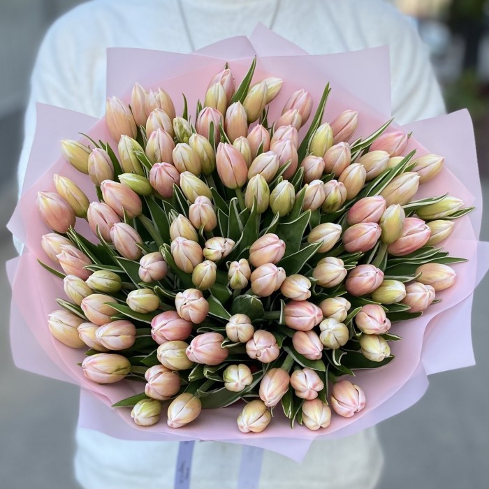 101 тюльпан Марк Дизайн