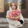 101 тюльпан Яркий микс