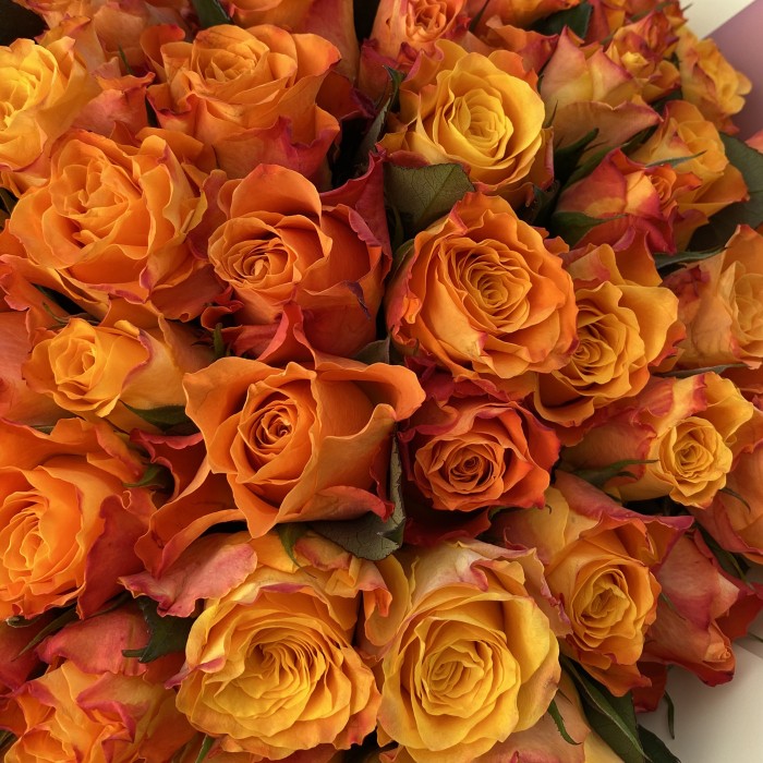 101 роза Солнечный букет