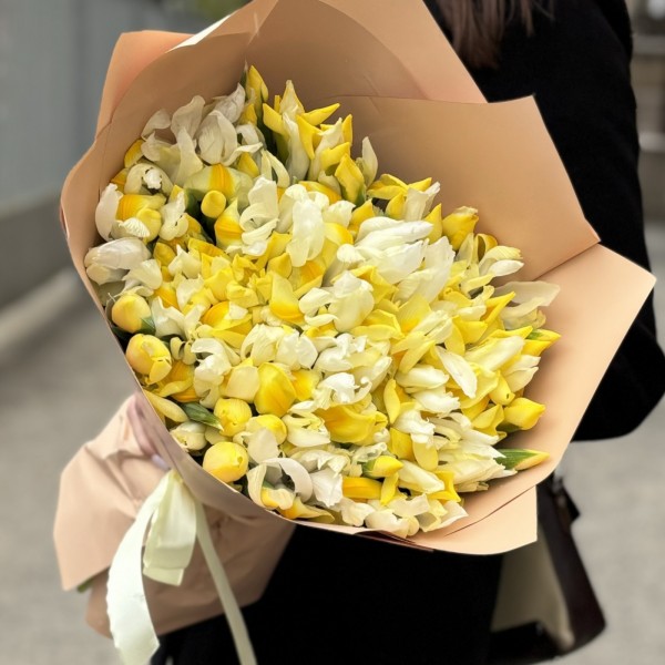 101 желтый ирис