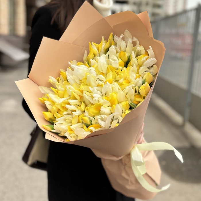 101 желтый ирис