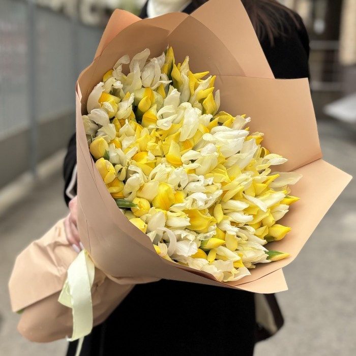 101 желтый ирис